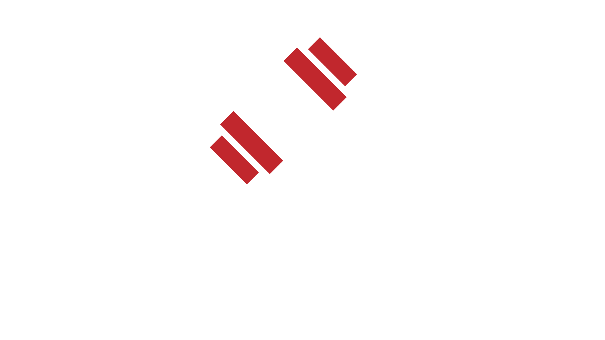 The Fit Fork Logo